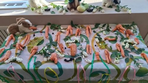 Праздник морковки провели в Мамадыше