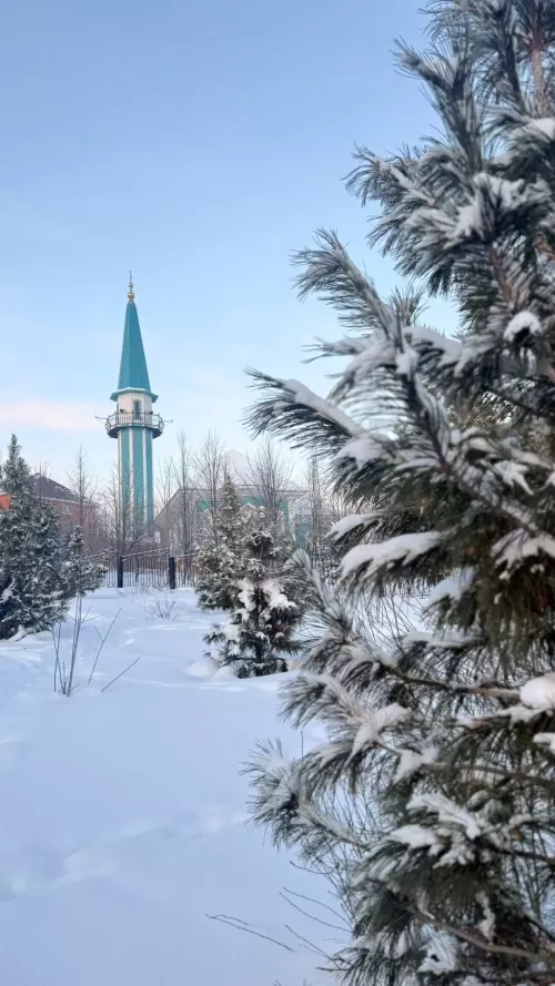 Пост в Шавваль: 6 дней, которые приравниваются к году поста