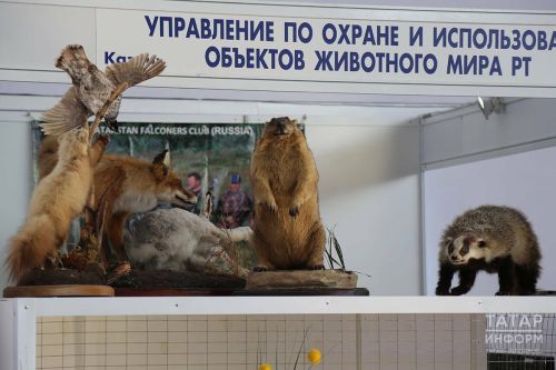 В Татарстане завершается «лесная перепись»