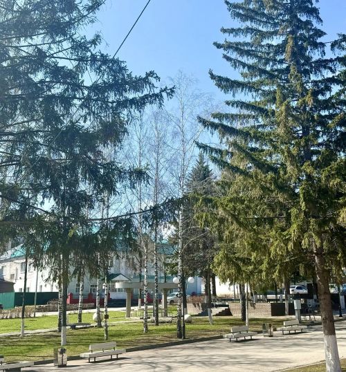 Подробный прогноз погоды на 25 и 26 апреля 2026 года по всем регионам России