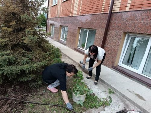 В Детской школе искусств прошел субботник: сотрудники вышли озеленять территорию