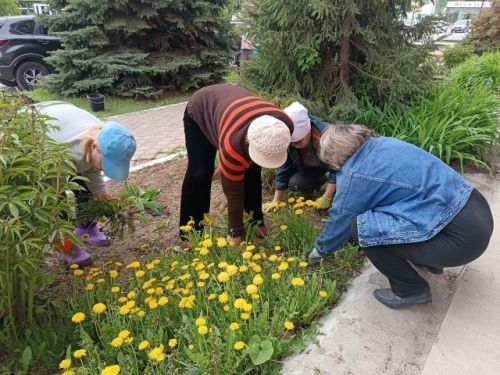 В Детской школе искусств прошел субботник: сотрудники вышли озеленять территорию