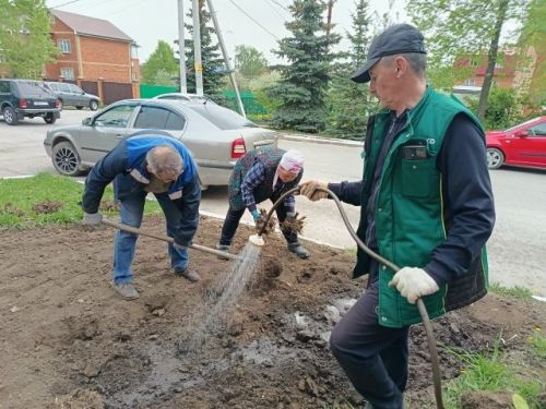 В Детской школе искусств прошел субботник: сотрудники вышли озеленять территорию