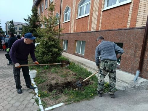 В Детской школе искусств прошел субботник: сотрудники вышли озеленять территорию