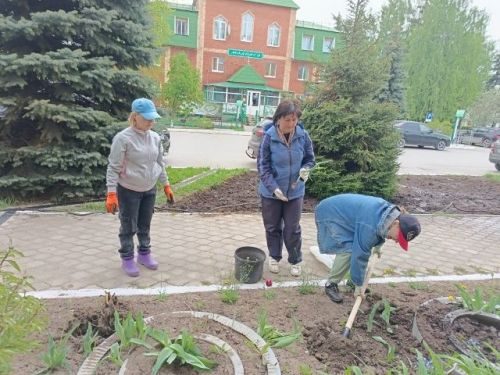 В Детской школе искусств прошел субботник: сотрудники вышли озеленять территорию