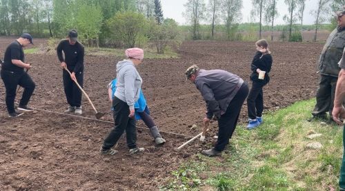 Учащиеся Олуязского лицея взяли в руки грабли и лопаты
