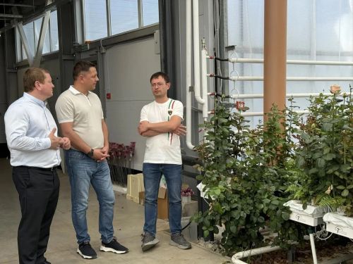 Илья Вольфсон в Мамадыше посетил Аллею Славы и строящиеся объекты