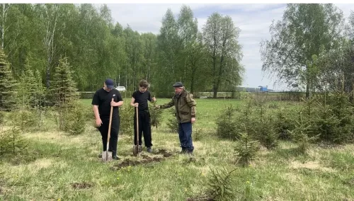 У Олуязского лицея есть собственный питомник