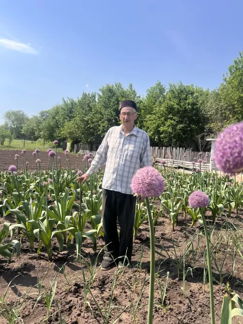 В обычном огороде — необычное чудо
