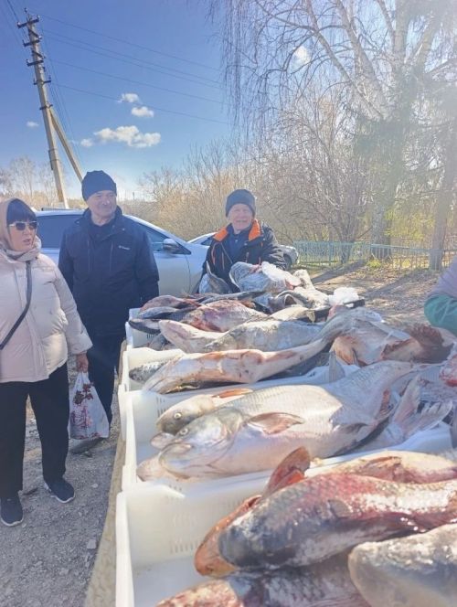 В селе Шадчи прошла весенняя ярмарка