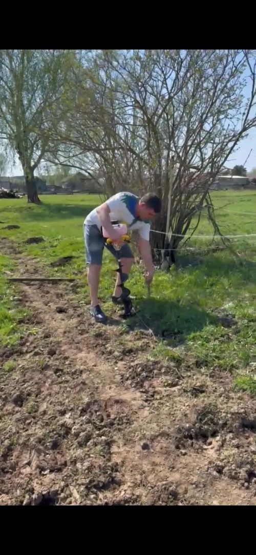 В селе Верхний Берсут высадили «Аллею героев» в память об участниках ВОВ