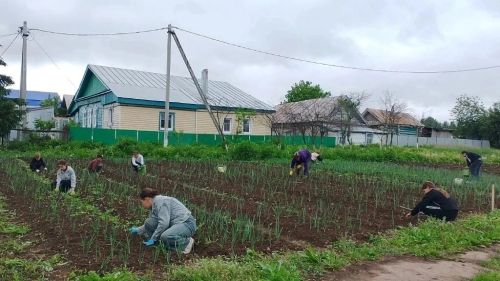 Лето с пользой и душой: как живут пришкольные лагеря в Нижней Суни