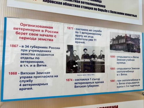 Мамадышский ветспециалист вошел в делегацию РТ на совещании в Кирове