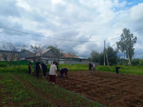 Лето с пользой и душой: как живут пришкольные лагеря в Нижней Суни