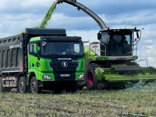 В Мамадышском районе продолжается кормозаготовительная кампания