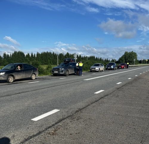 В Мамадышском районе провели профилактическую операцию «Тоннель»