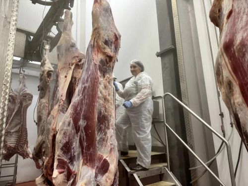 Замглавы ветслужбы РТ проинспектировал убойный пункт в Мамадышском районе