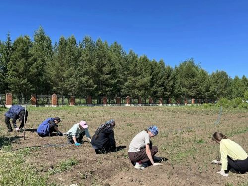 Каникулы с пользой: как организован летний отдых в Таканышской школе