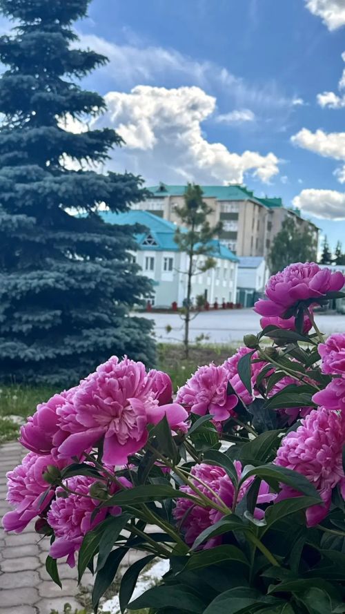 11 июня — короткий рабочий день? Отвечаем на главный вопрос недели