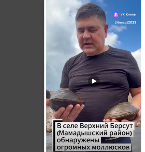 В селе Верхний Берсут Мамадышского района обнаружены огромные моллюски