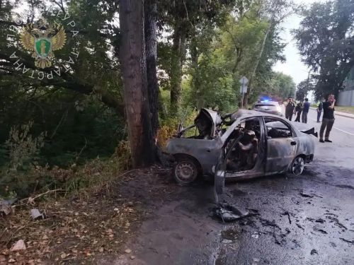 Шестеро подростков погибли в ДТП с деревом
