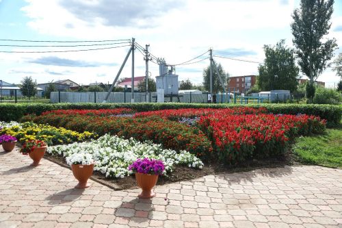 Конкурсная комиссия оценила цветочное оформление Мамадыша