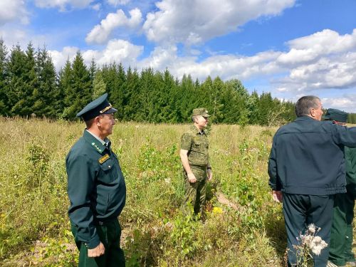 Равиль Кузюров оценил ход лесовосстановительных работ в Камском лесничестве