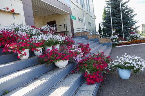 Конкурсная комиссия оценила цветочное оформление Мамадыша