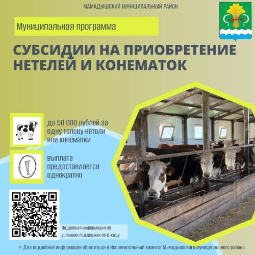 Новые меры поддержки: жильё и помощь хозяйствам в Мамадышском районе
