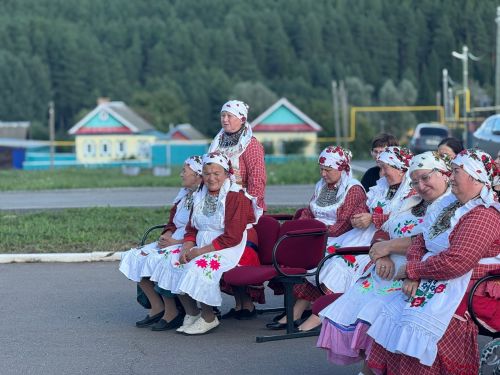 Вадим Никитин встретился с жителями Кляушского и Нижнешандерского поселений
