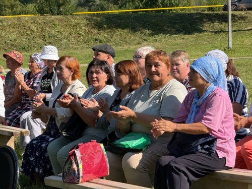 Вадим Никитин встретился с жителями Кляушского и Нижнешандерского поселений