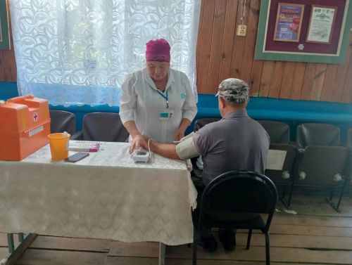 В Мамадышском районе совместили выборы с вакцинацией:278 прививок за первый день
