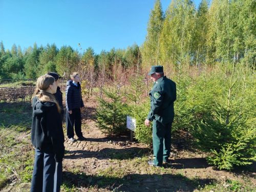 Юные лесоводы из Мамадыша побывали с экскурсией в Кляушском лесничестве