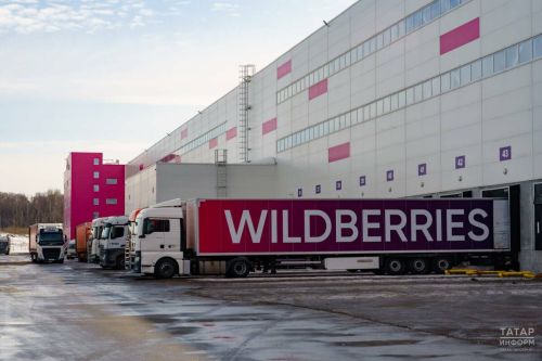 В Татарстане одобрили льготный займ для пострадавшего продавца Wildberries