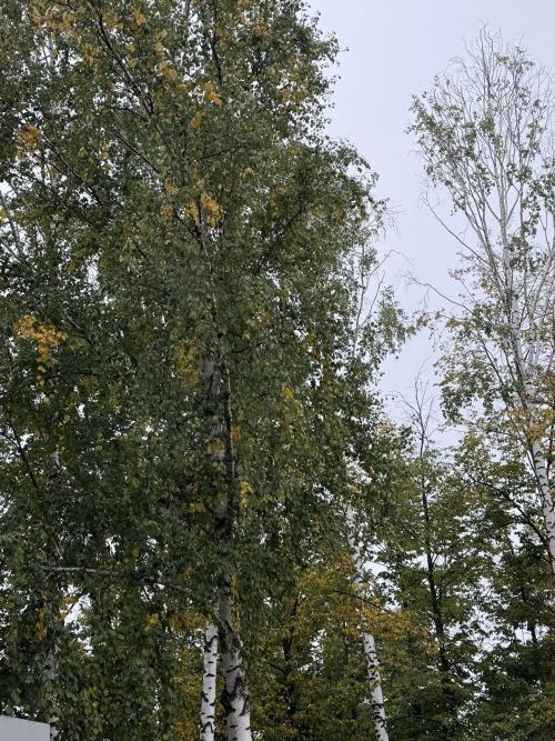 Синоптики дали прогноз погоды на сентябрь в ПФО