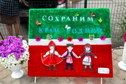 Выставка на педагогической конференции Мамадыша