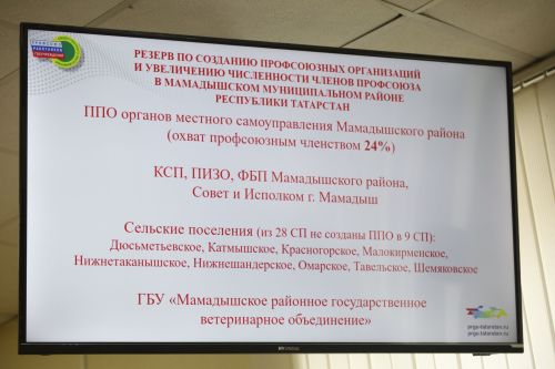 Отчетная конференция профсоюзного актива Мамадышского района