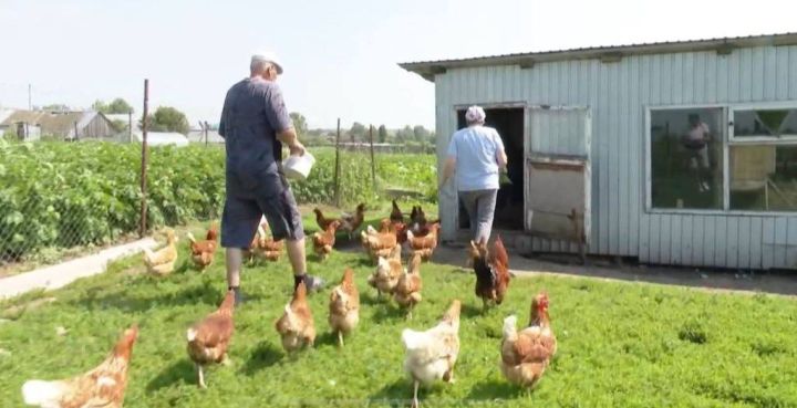 Семья из Набережных Челнов нашла счастье в деревне Мамадышского района