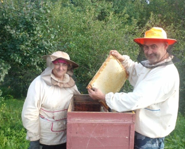 Мамадышский пчеловод: жизнь в ритме улья и щедрость природы