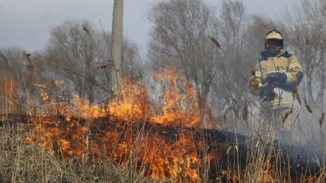 В Мамадышском районе спасатели эвакуировали 84 селянина из-за лесного пожара