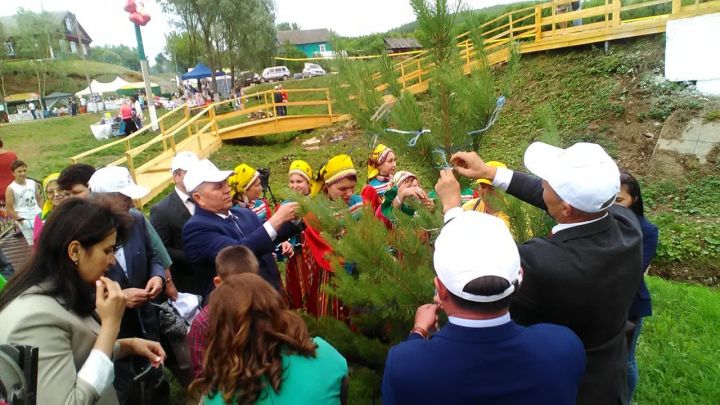 Ниточку на сосну, денежку в родник, монетку в кору дерева: удмурты раскрыли секреты исполнения желаний