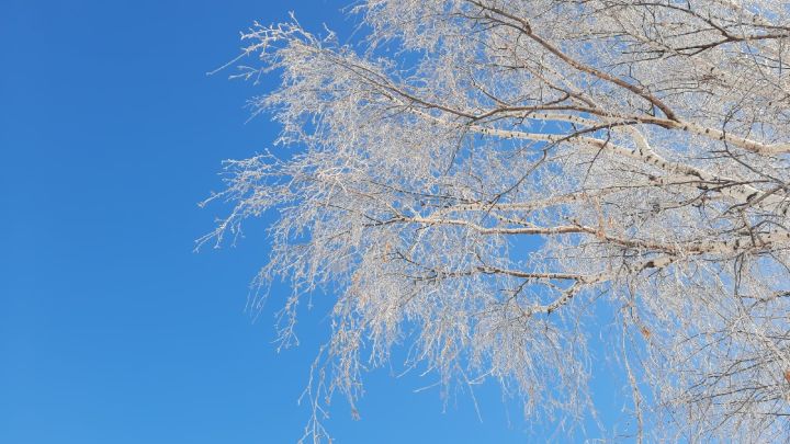 Сегодня – христианский праздник Петров день