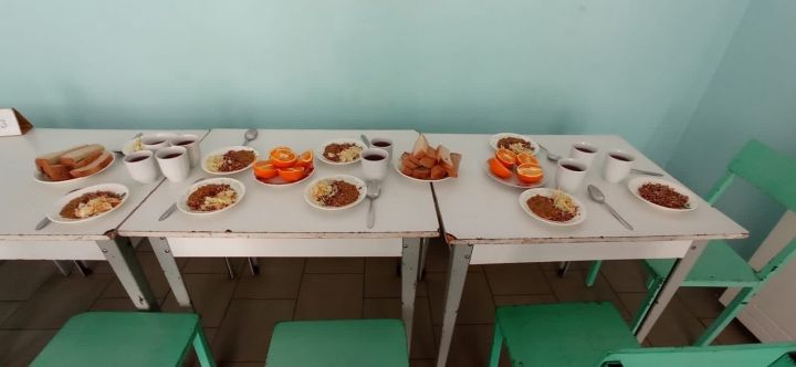 Республиканский Совет Родителей проверил качество питания детей в трех школах Мамадышского района