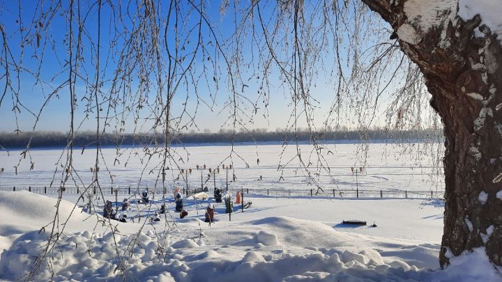 Сегодня — Мартынов день