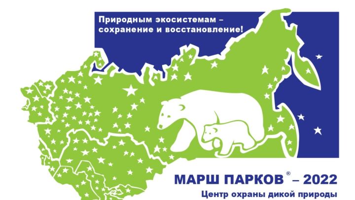 Мамадышцев пригласили поучаствовать в международной акции «Марш Парков – 2022»