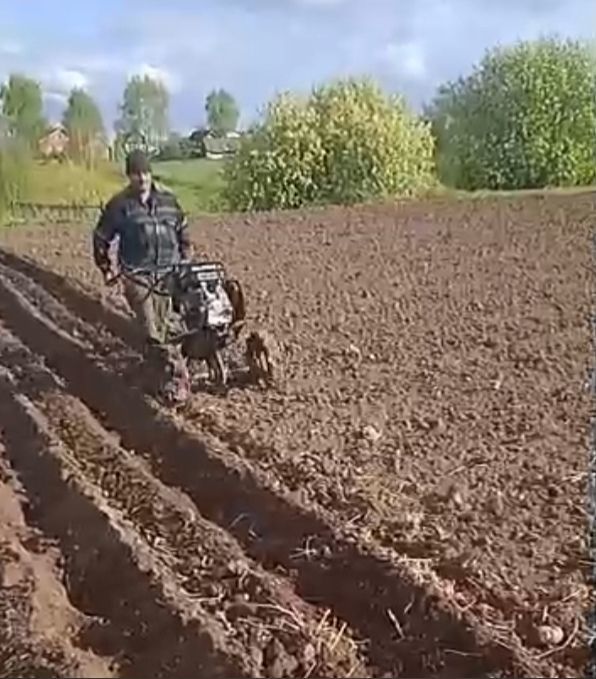 Мамадышцам показали новый способ посадки картофеля