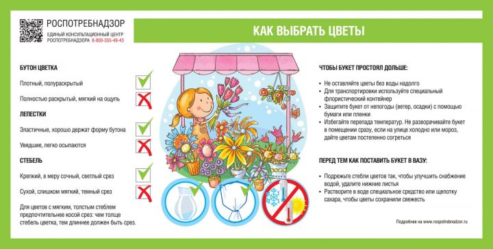 Мамадышцам рассказали, как правильно выбрать живые цветы