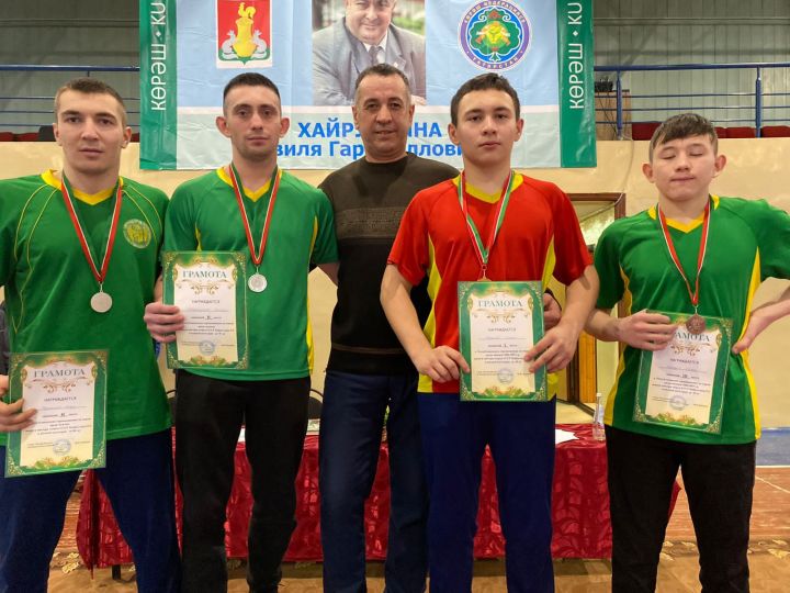Борцы из Мамадышского района заняли призовые места в республиканском турнире