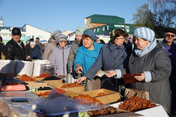 Мамадышцев приглашают на ярмарку