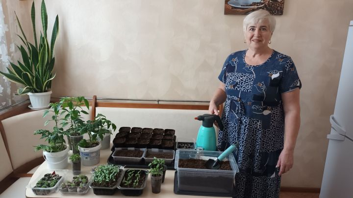 Посажу 1000 кустов томатов и 150 перцев: жительница Мамадыша раскрыла секреты богатого урожая